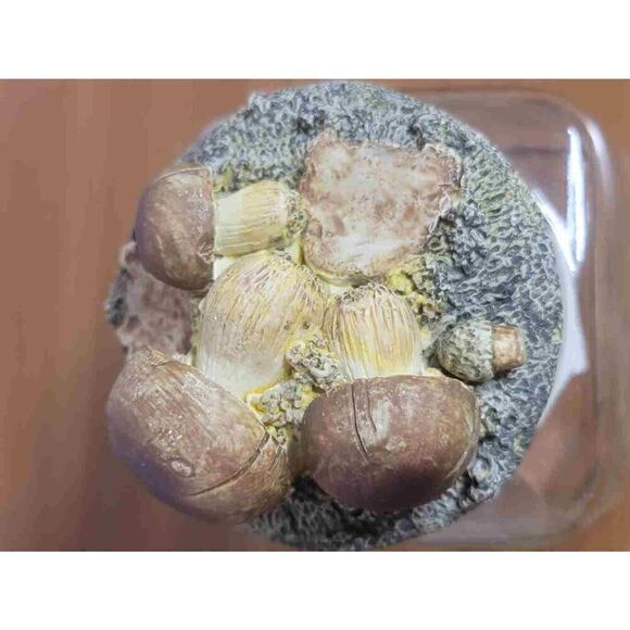 Vintage Square Jar with Mushroom Lid - Picture 8 of 8